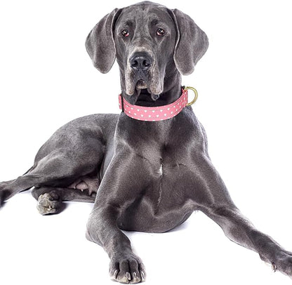 Reflective Dog Collar