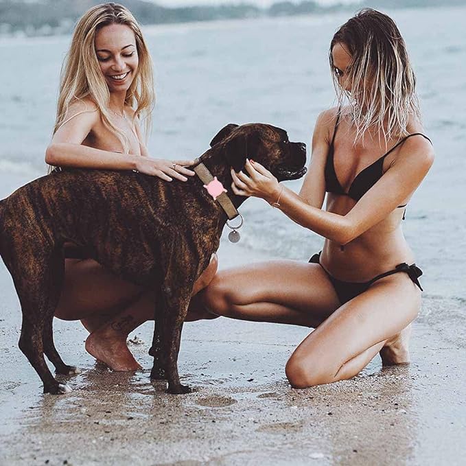 Air Tags-2 Pack Airtag Dog Collar Holder SWINCHO 1-3cm Width