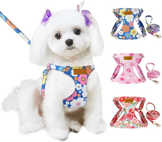 SlowTon No Pull Dog Harness with Leash - Soft Lightweight Floral Pattern Puppy Harness, Adjustable Pet Harness for Small Medium Dogs (Blue Flower XXS)