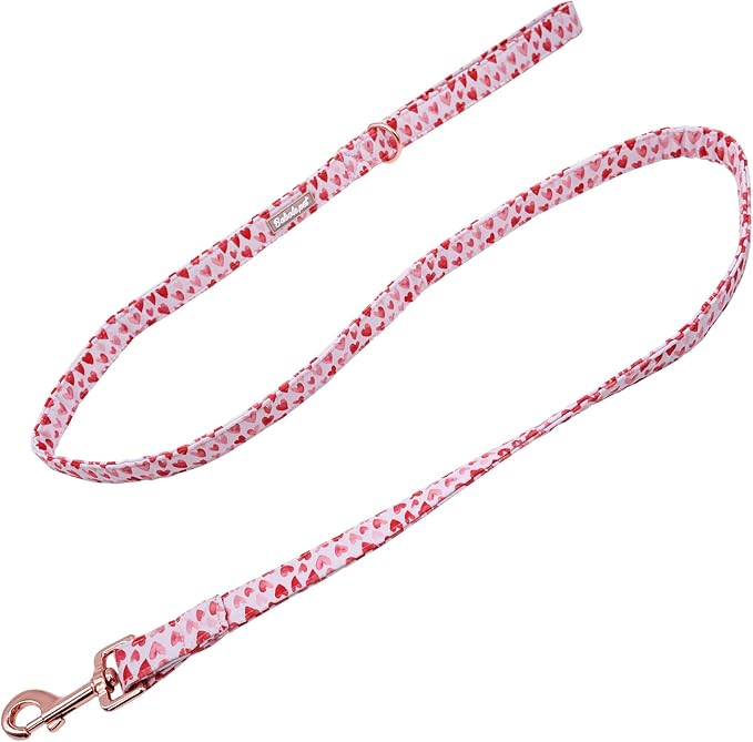 Valentine's Day Dog Leash Durable Handmade Dog Leashes 150cm