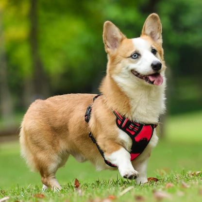 rabbitgoo Dog Harness, No-Pull Pet Harness with 2 Leash Clips, Adjustable Soft Padded Dog Vest, Reflective No-Choke Pet Oxford Vest with Easy Control Handle for Medium Dogs, Red, M