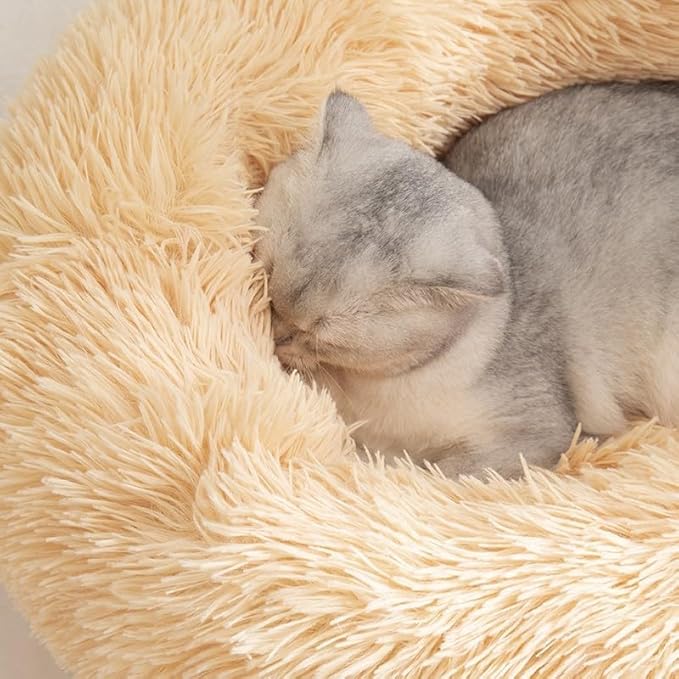 Cat Beds for Indoor Cats 20/24 inches,