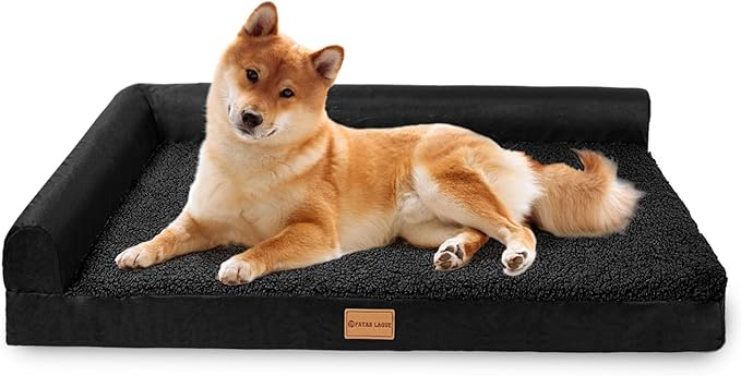 Patas Lague Orthopedic Dog Bed for Medium Dogs 36''X24''