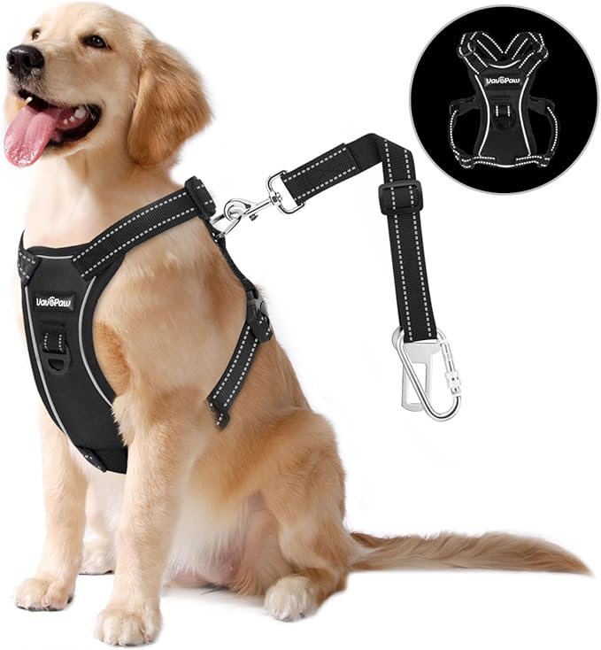 Dog Vehicle Safety Vest Harness, Adjustable Soft Padded Mesh Car Seat Belt Leash Harness with Reflective Strip Travel Strap and Carabiner for Most Cars, M Size, Carbon Black