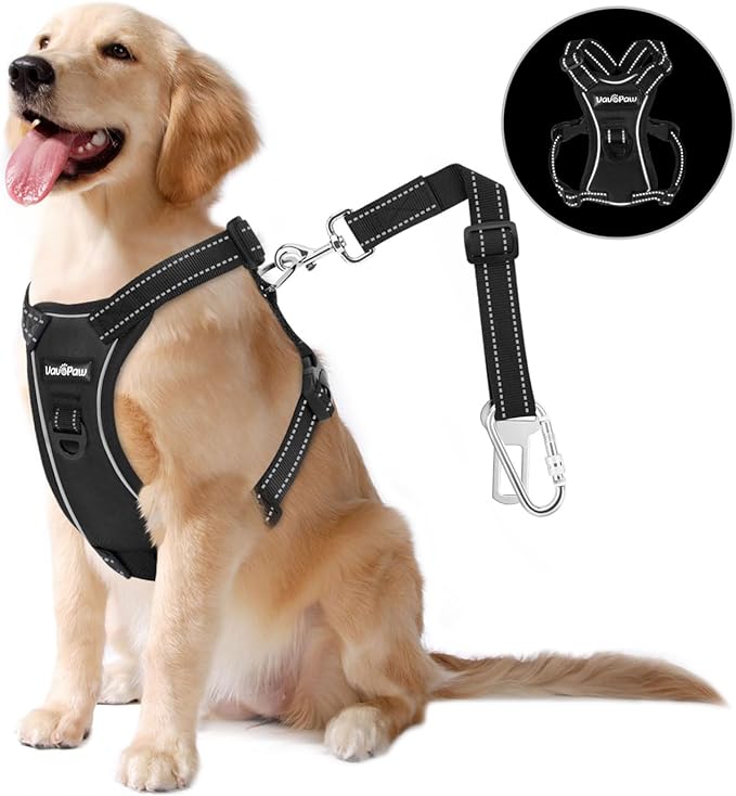 Dog Vehicle Safety Vest Harness, Adjustable Soft Padded Mesh Car Seat Belt Leash Harness with Reflective Strip Travel Strap and Carabiner for Most Cars, XL Size, Carbon Black