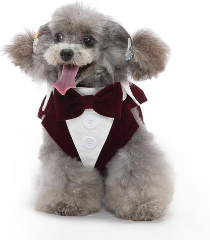 Puppy Velvet Tuxedo with Detachable Bowtie Prom Wedding Formal Wear Prince Costume for Small Dog (Medium, Wine Red)