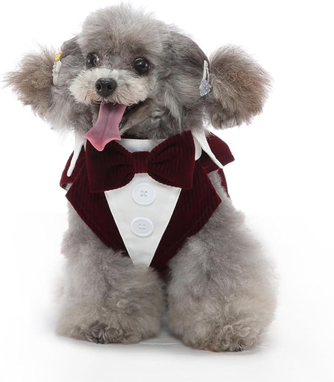 Puppy Velvet Tuxedo with Detachable Bowtie Prom Wedding Formal Wear Prince Costume for Small Dog (X-Small, Wine Red)