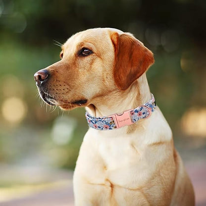 Unique style paws Dog Collar Metal Buckle Collar