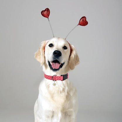 Flower Patterns Dog Collar with Accessories