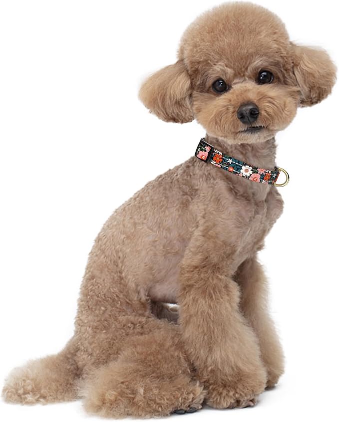 Reflective Dog Collar