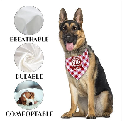 Dog Bandana (B62)