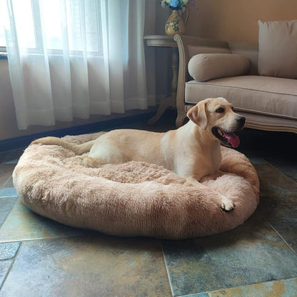 Coohom Oval Calming Donut Cuddler Dog Bed Bed(30"/36") for (XXL(43"x34"x8"), Beige2021)