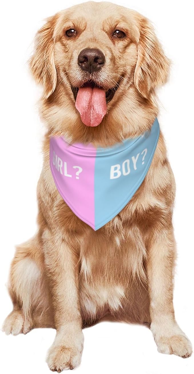 He Or She What Will It Be? Gender Reveal/Baby Announcement Dog Bandana,Pet Neckerchief for Pets Daily Wear Photo Prop Party Supplies (Pink/Blue-1)
