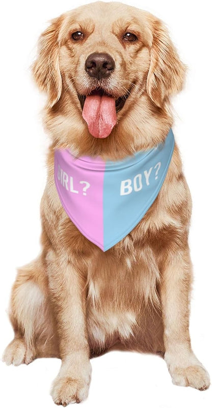 He Or She What Will It Be? Gender Reveal/Baby Announcement Dog Bandana,Pet Neckerchief for Pets Daily Wear Photo Prop Party Supplies (Pink/Blue-1)