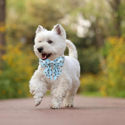 Maca Bates Blue Bee Dog Collar with Bow Bowtie for Dogs Sailor Bow Tie Adjustable Breakaway Cute Collars Accessories Gift for Small Medium Large XL Puppy with Golden Metal Buckle