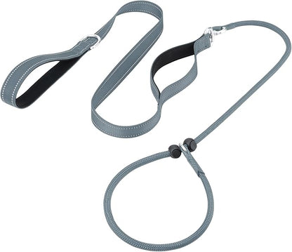 Aiyuda Tangle-Free Slip Lead for Dogs with Padded Traffic Handle 6ft Dog 40 LBS,
