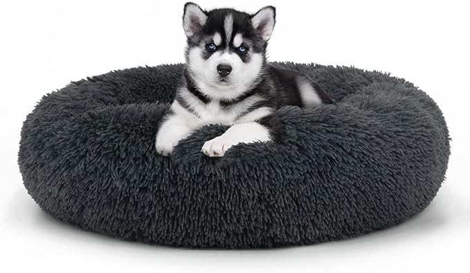 Geizire 20 inch Cat Bed Dog Bed for Cats