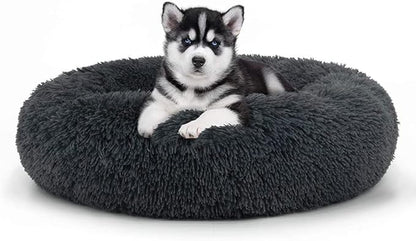 Geizire 20 inch Cat Bed Dog Bed for Cats