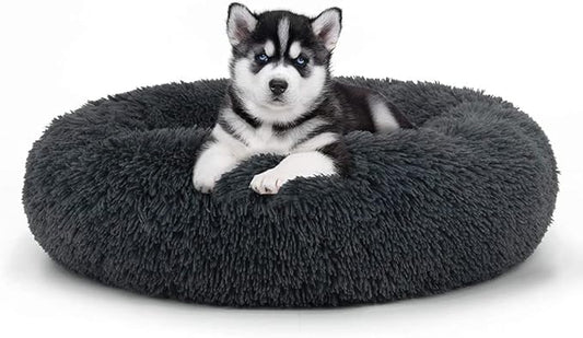 Geizire 20 inch Cat Bed Dog Bed for Cats