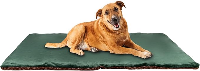 Dog Mat 27.5 x 39.3 in