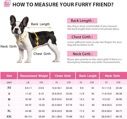 Queenmore Dog Life Jacket Ripstop Dog Shark Safety Vest Adjustable Preserver with High Buoyancy and Durable Rescue Handle for Small