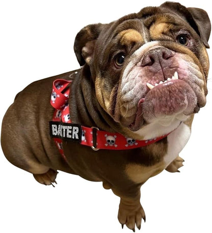 BULLHUG Harness – Made for Larger Chested Dogs Like English Bulldogs