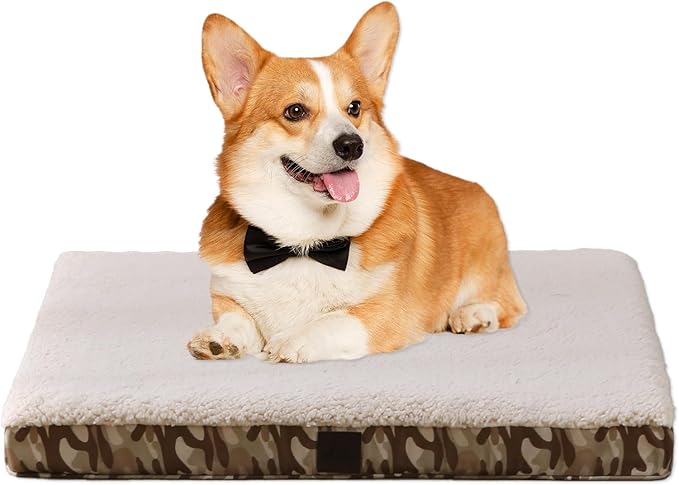 DaysU Dog Bed for Small Dogs 20 lbs, 30x20x3in