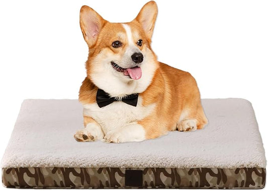 DaysU Dog Bed for Small Dogs 20 lbs, 30x20x3in