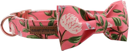 Elegant little tail Dog Collar with Bow