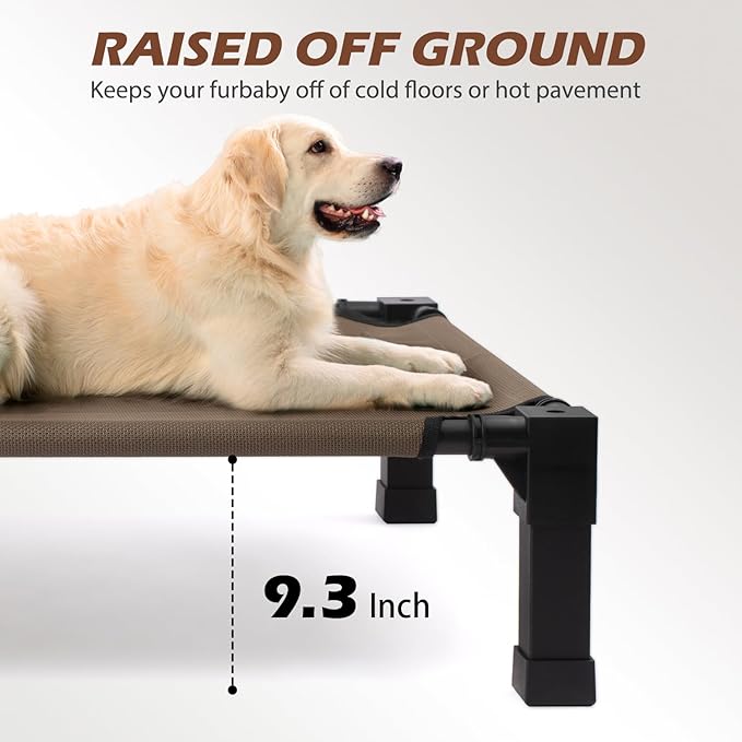 Cooling Elevated Dog Bed