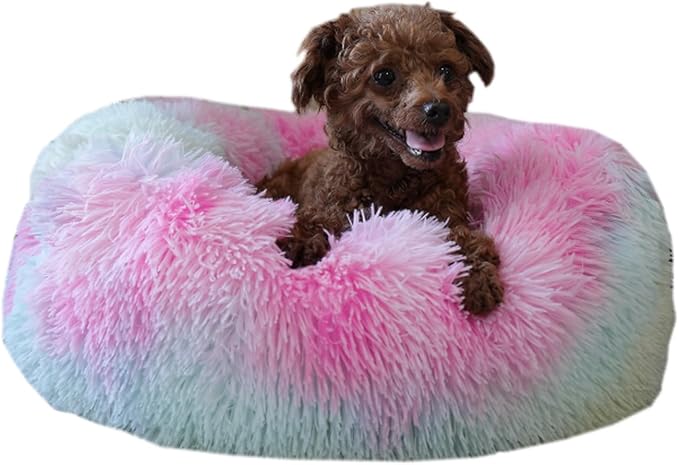 Rainbow Donut Dog Bed Small Washable Dogs,20 inches 10 lbs