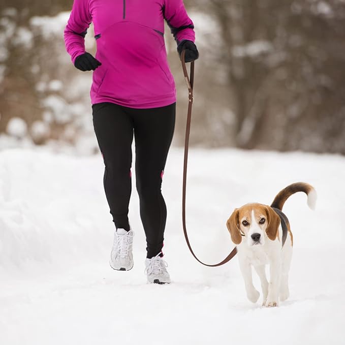 Waterproof Dog Leash Carabiner Leash for Dogs Soft 5ft*20mm*2.5mm Brown