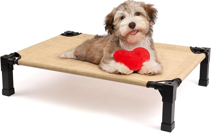 Cooling Elevated Dog Bed