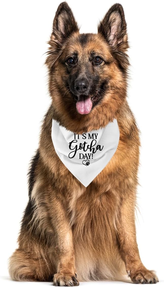 It's My Gotcha Day Dog Bandana, White Dog Bandana, Happy Gotcha Day, Dog Adoption Day, Pet Bandanas, Accessories for Dog Lover, Adoption Day Gifts, Pet Scarf (C54)