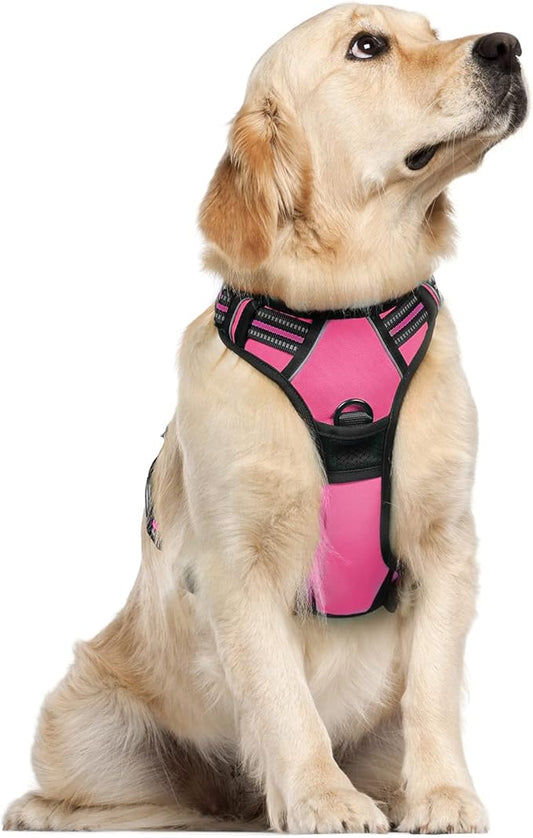 rabbitgoo Dog Harness 2 Leash