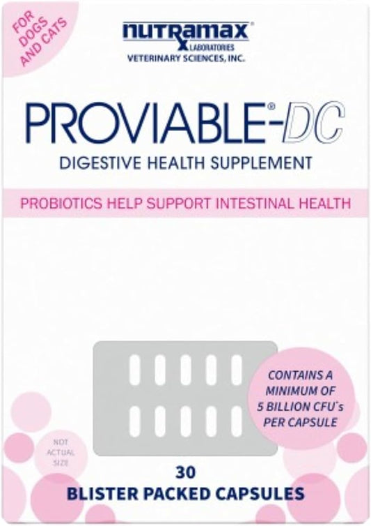 Nutramax Proviable Digestive Health Supplement Multi-Strain Probiotics and Prebiotics for Cats and Dogs - With 7 Strains of Bacteria, 30 Capsules