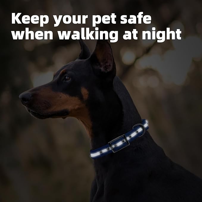 PUPTECK Heavy Duty Dog Collar with Handle Bungee for Small Medium Large Dogs