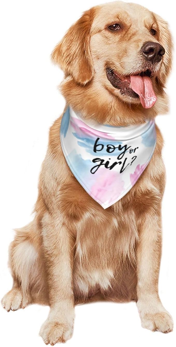 He Or She What Will It Be? Gender Reveal/Baby Announcement Dog Bandana,Pet Neckerchief for Pets Daily Wear Photo Prop Party Supplies (Color Block)