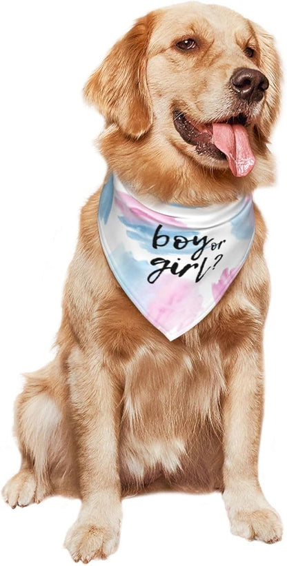 He Or She What Will It Be? Gender Reveal/Baby Announcement Dog Bandana,Pet Neckerchief for Pets Daily Wear Photo Prop Party Supplies (Color Block)