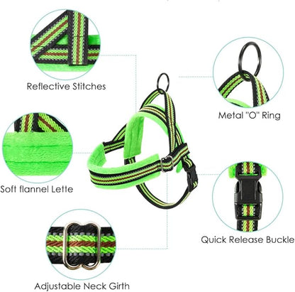 Lukovee Dog Harness and Leash Set, Soft Padded Small Dog Harness, Neck & Chest Adjustable Reflective Vest Puppy Harness with 4ft Lightweight Anti-Twist Dog Leash for Small Dogs (XX-Small, Green)