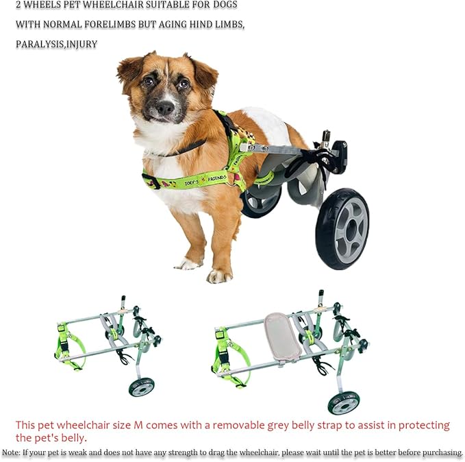 Dog Wheelchair 2 Wheel