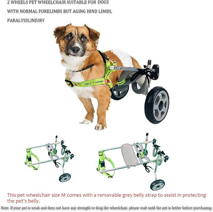 Dog Wheelchair 2 Wheel