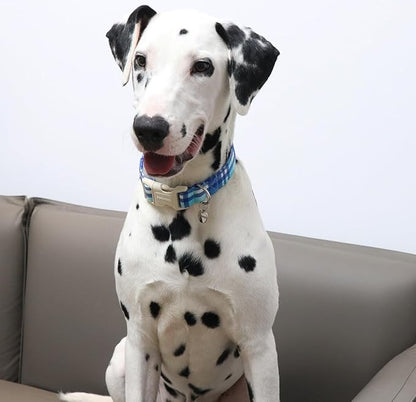 DOGWONG Cotton Dog Collar