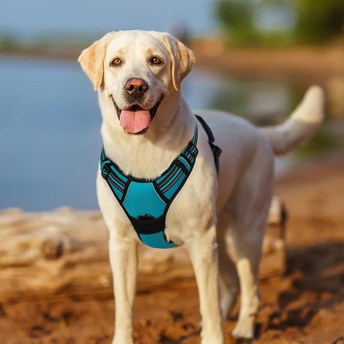 rabbitgoo Dog Harness, No-Pull Pet Harness with 2 Leash Clips, Adjustable Soft Padded Dog Vest, Reflective No-Choke Pet Oxford Vest with Easy Control Handle for Large Dogs, Teal, XL