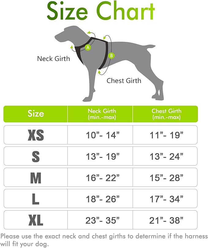 rabbitgoo Dog Harness, No-Pull Pet Harness with 2 Leash Clips, Adjustable Soft Padded Dog Vest, Reflective No-Choke Pet Oxford Vest with Easy Control Handle for Small Dogs, Wild Lime, XS