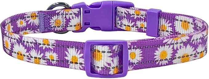 Floral Pattern Dog Collar