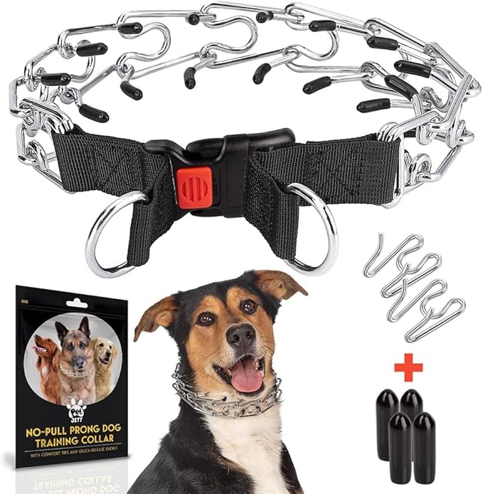 Prong Collar for Dogs