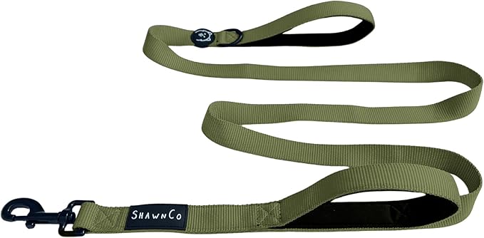 ShawnCo Dream Walk Dog Leash- Premium, Nylon Pet Leash with Soft Neoprene Handle for Small, Medium and Large Dogs (Olive Green, M/L 6FT w/ 2 Handles)