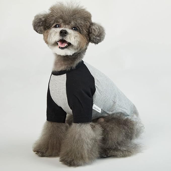 Dog Shirt for Small and Large Dogs Raglan Cotton T-Shirts Soft Breathable Dog Shirts pet Clothes Gray Series (Large