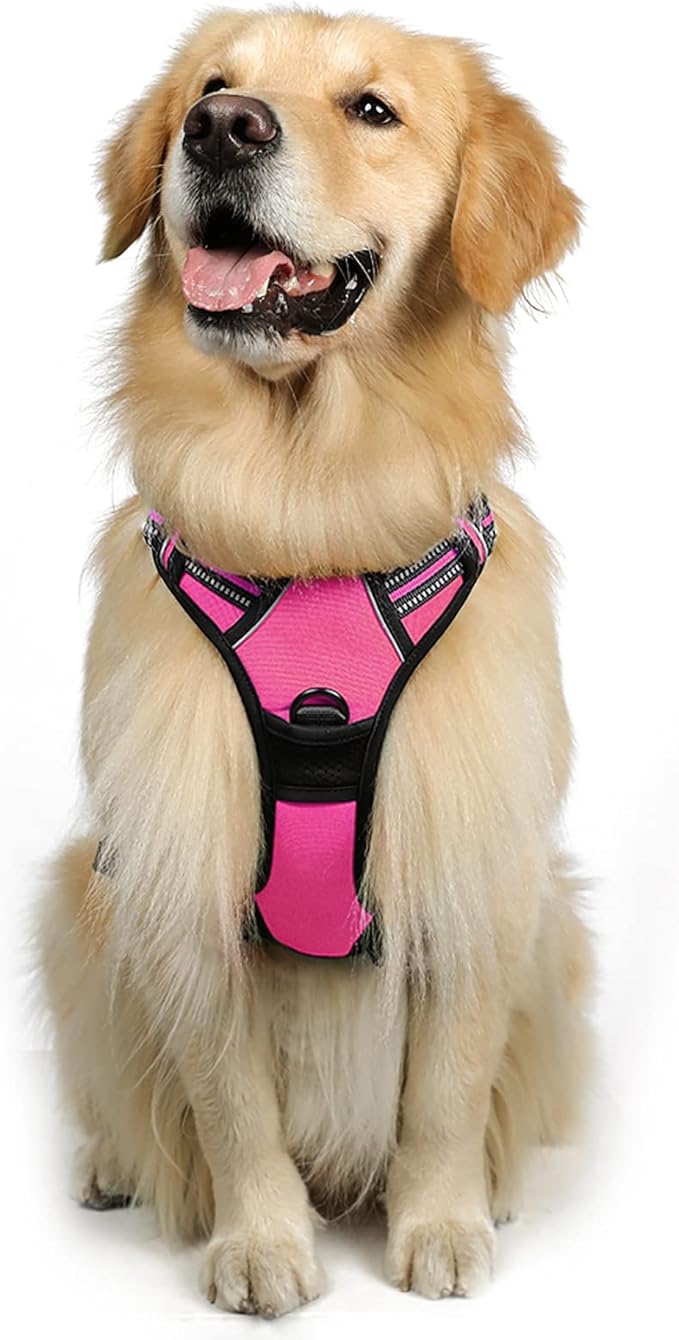 rabbitgoo Dog Harness, No-Pull Pet Harness with 2 Leash Clips, Adjustable Soft Padded Dog Vest, Reflective No-Choke Pet Oxford Vest with Easy Control Handle for Large Dogs, Hot Pink, XL